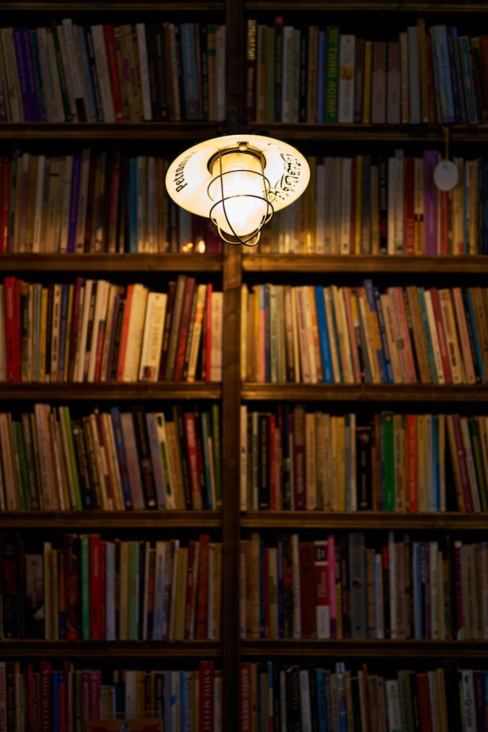 Bookshelf in a library illuminated by a warm lightbulb, creating a cozy ambiance.